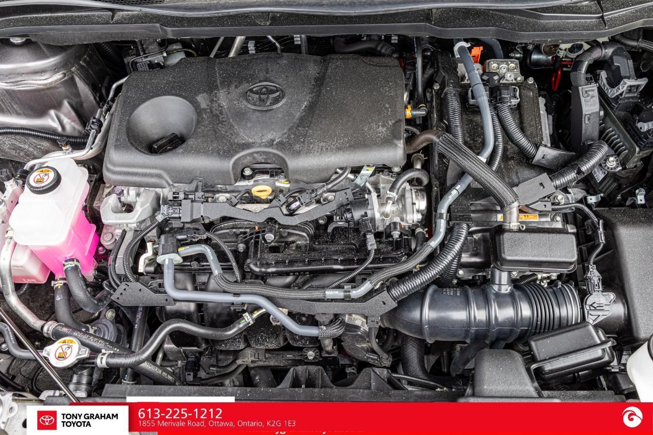 2024 Toyota Sienna XLE 8-Passenger Photo