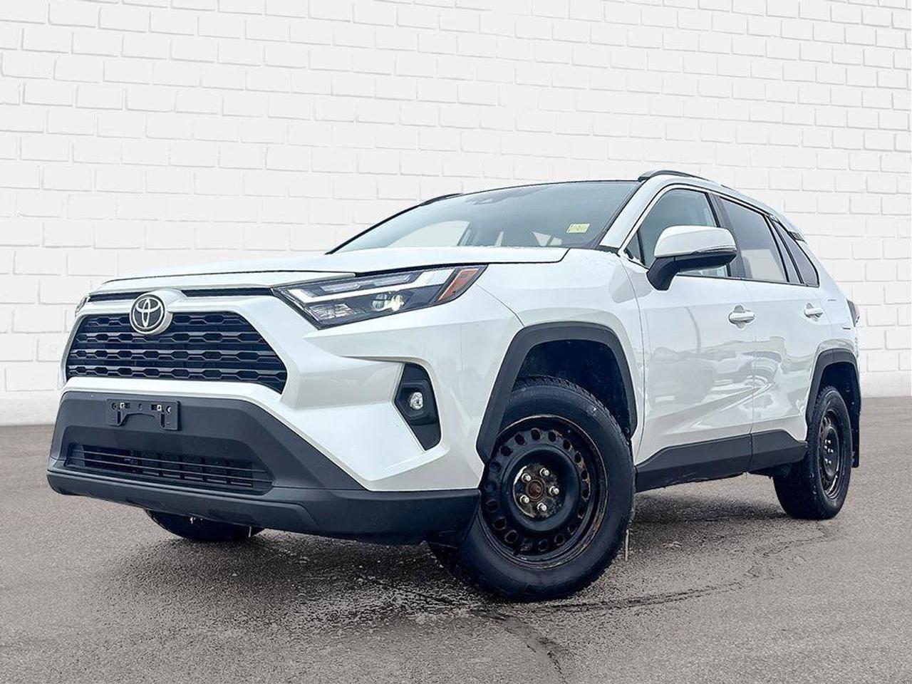 2022 Toyota RAV4 XLE | | Moonroof | Photo