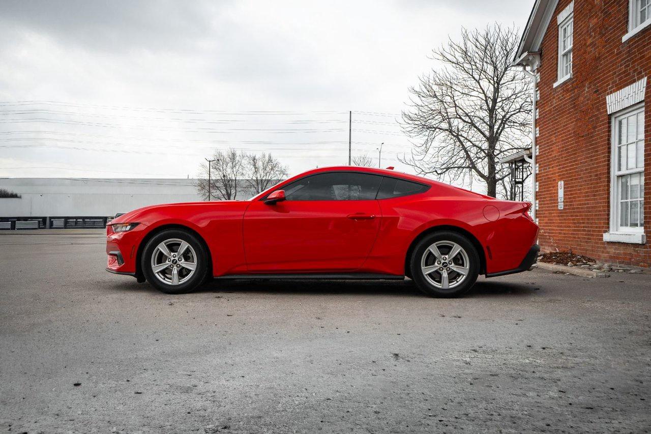 2024 Ford Mustang EcoBoost Photo
