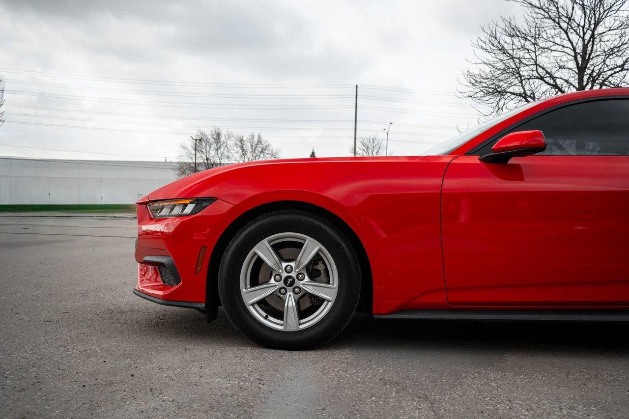 2024 Ford Mustang EcoBoost Photo4