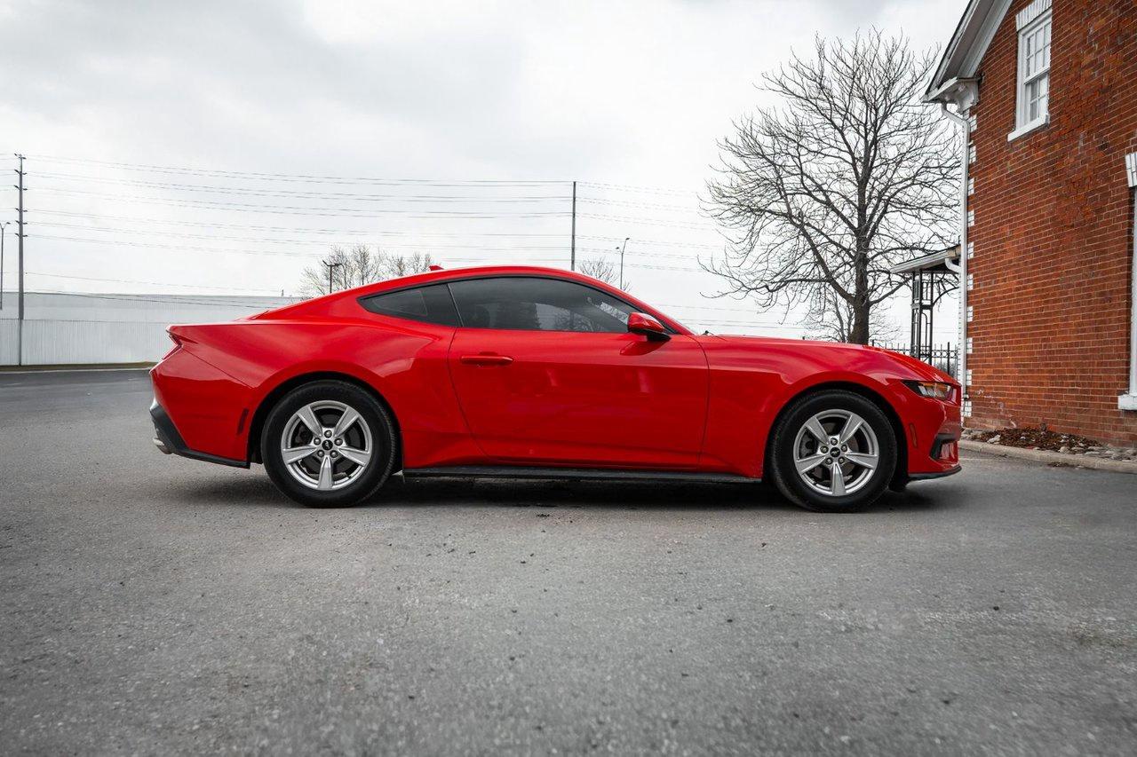 2024 Ford Mustang EcoBoost Photo