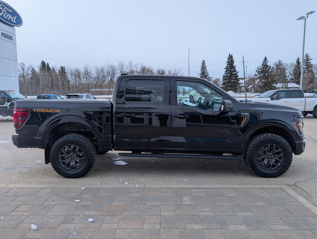 2024 Ford F-150 Tremor Photo4