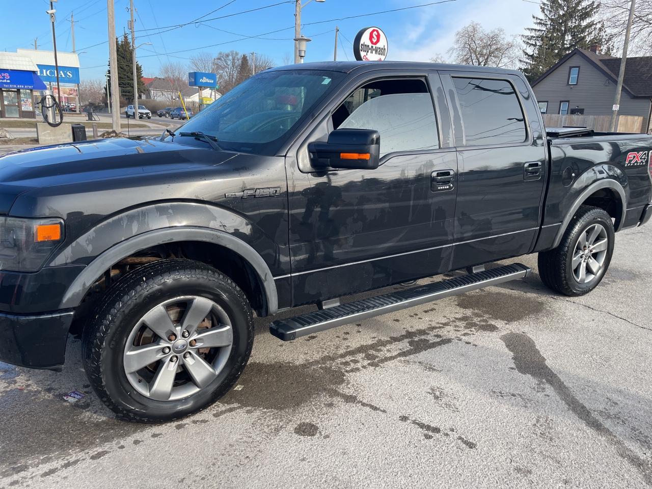 2014 Ford F-150 FX4 Photo