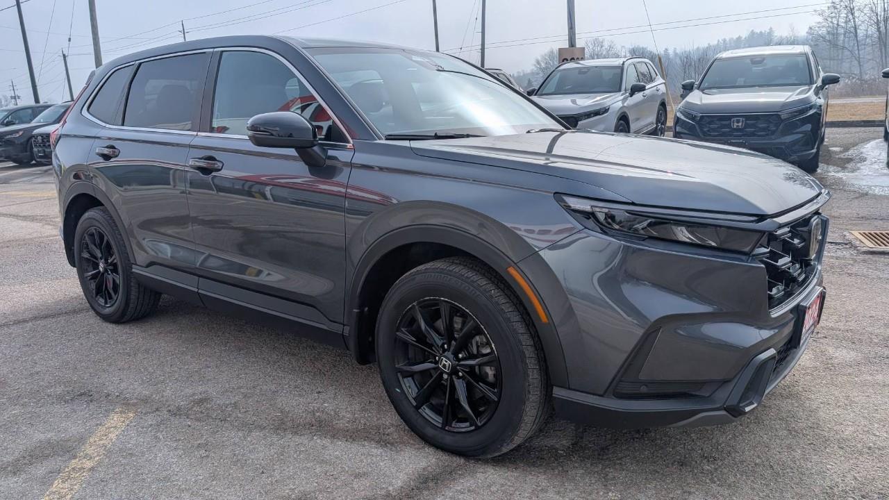 2024 Honda CR-V Hybrid EX-L 4dr All-Wheel Drive Photo