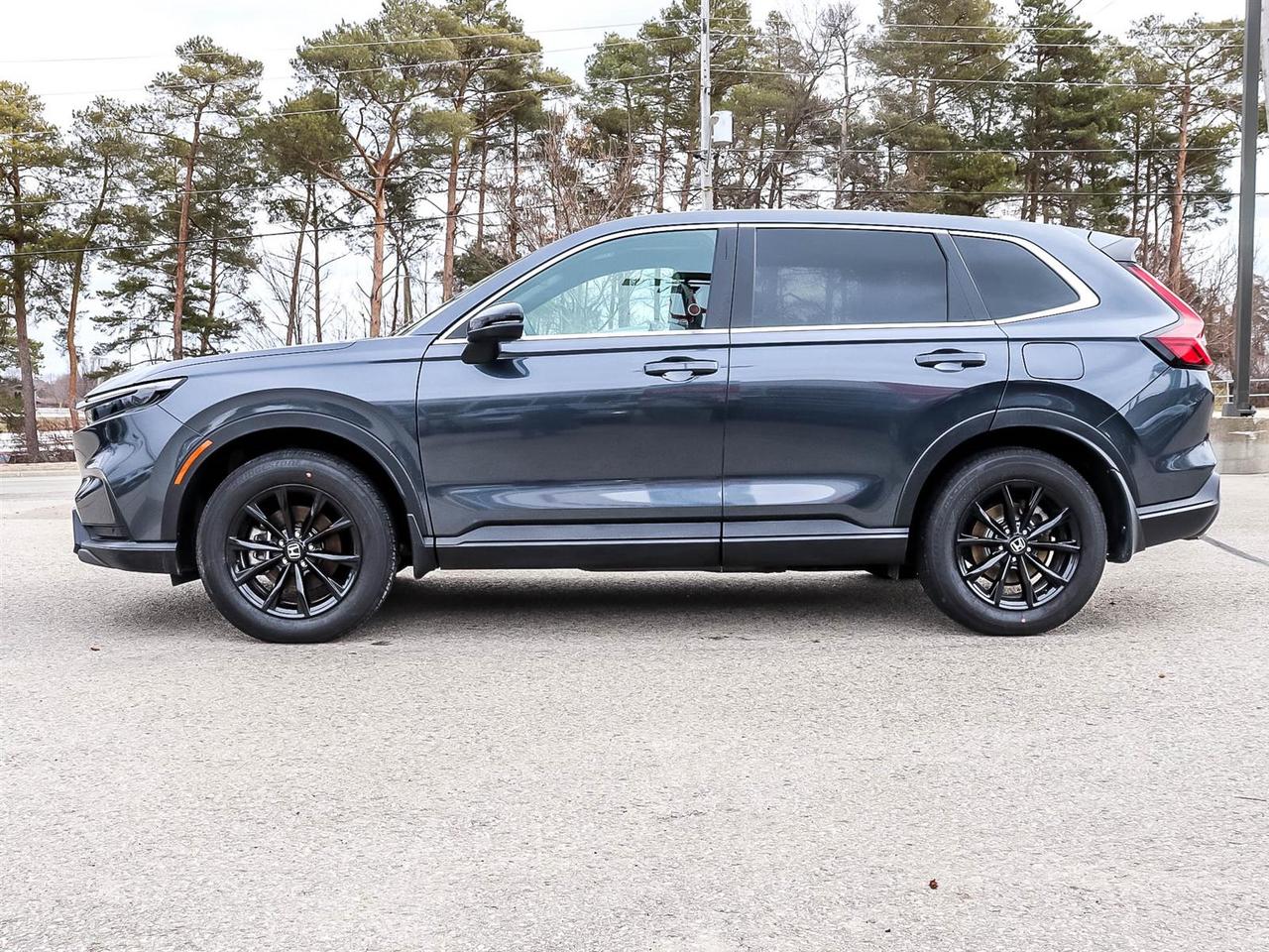 2024 Honda CR-V Hybrid EX-L Photo