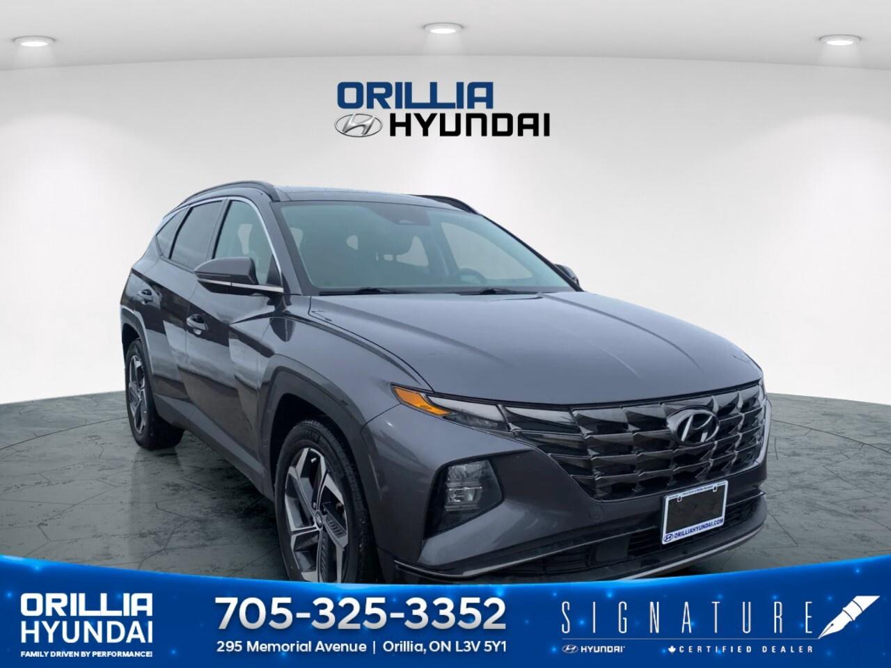 2024 Hyundai Tucson Hybrid Luxury AWD Photo