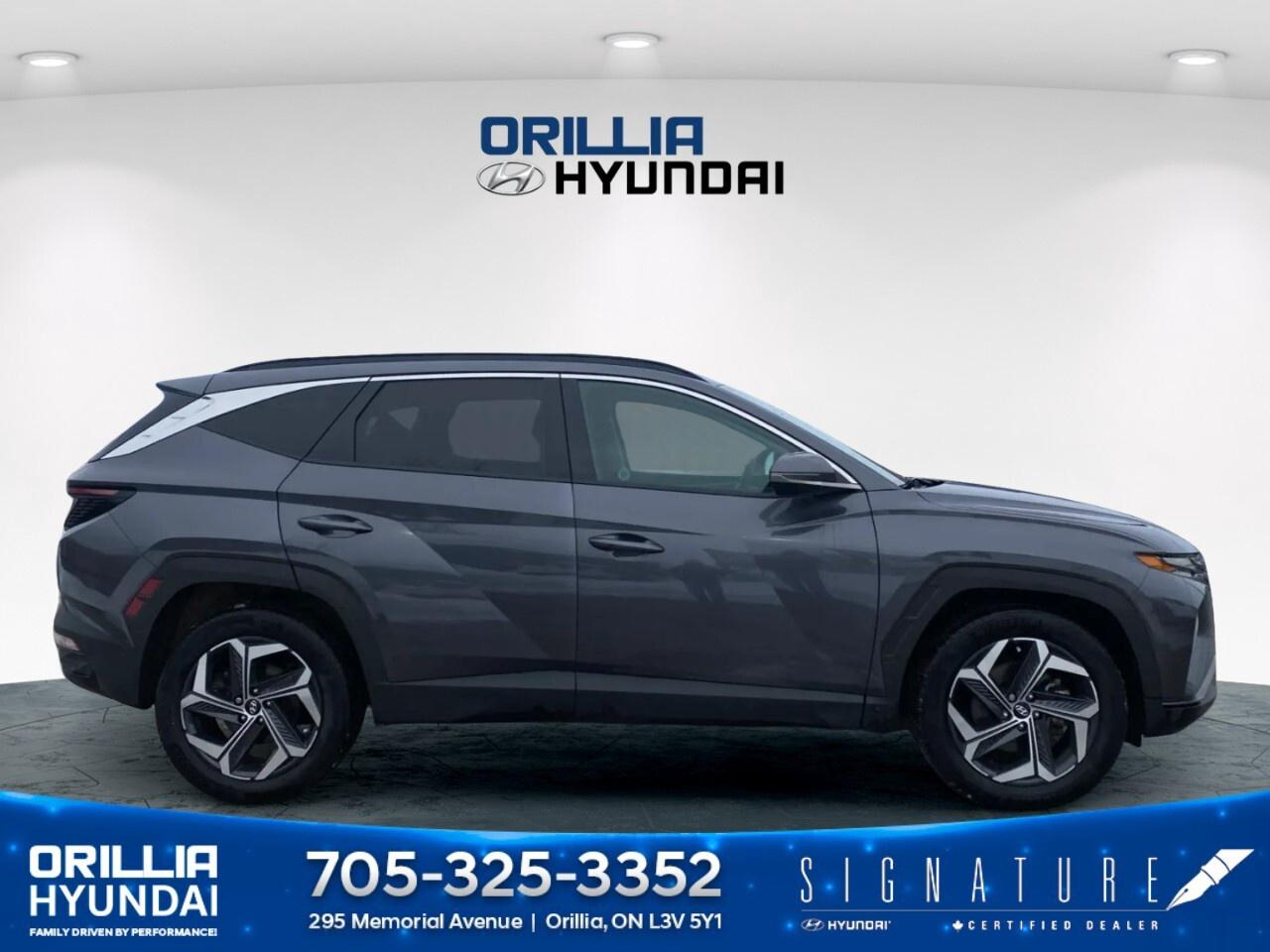 2024 Hyundai Tucson Hybrid Luxury AWD Photo3