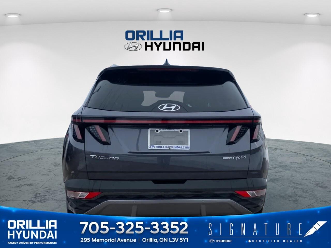 2024 Hyundai Tucson Hybrid Luxury AWD Photo