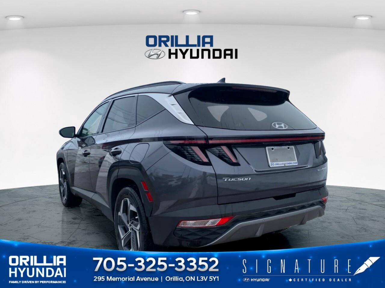 2024 Hyundai Tucson Hybrid Luxury AWD Photo