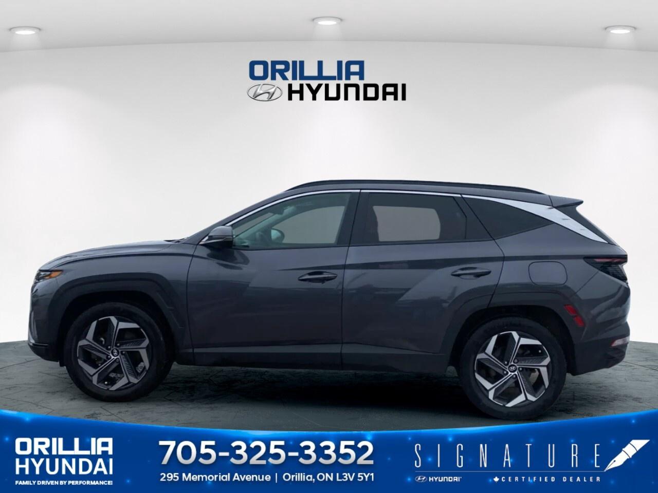 2024 Hyundai Tucson Hybrid Luxury AWD Photo