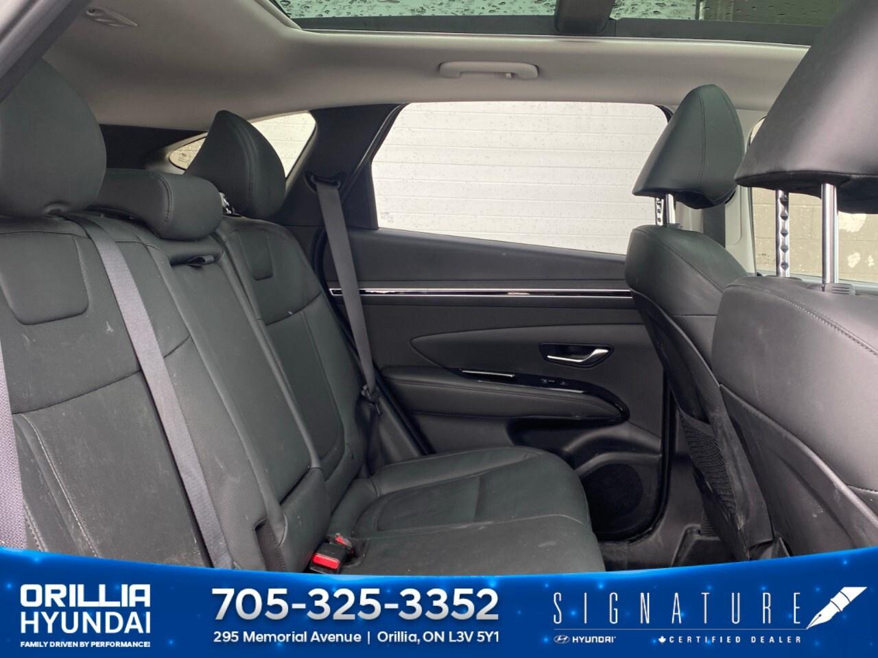 2024 Hyundai Tucson Hybrid Luxury AWD Photo