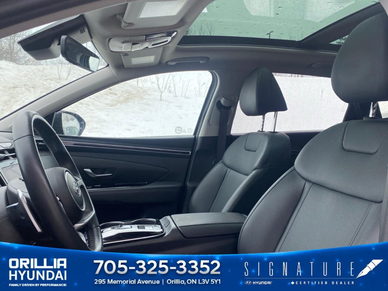 2024 Hyundai Tucson Hybrid Luxury AWD Photo