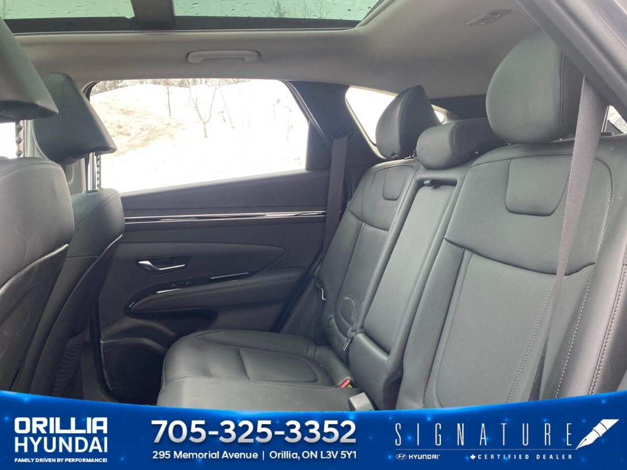 2024 Hyundai Tucson Hybrid Luxury AWD Photo