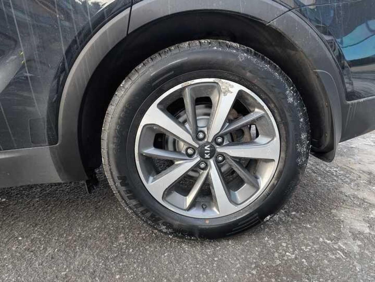 2019 Kia Sorento  Photo