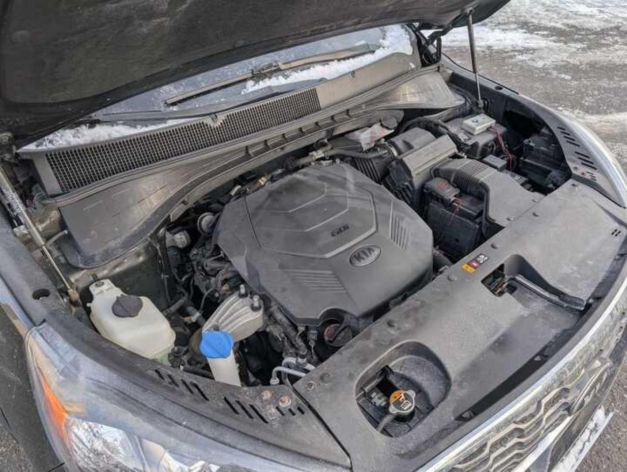 2019 Kia Sorento  Photo