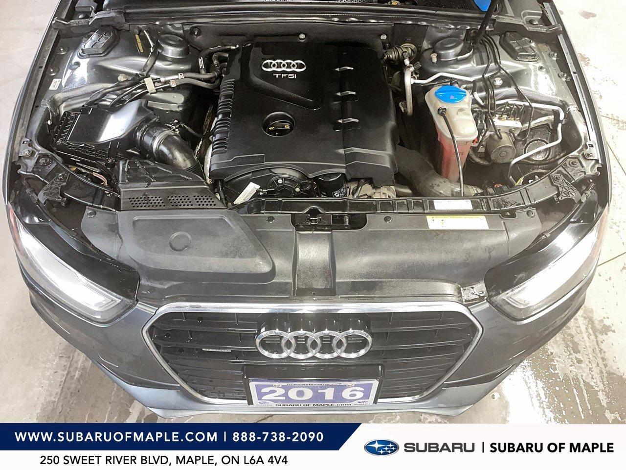 2016 Audi A4 4dr Sdn Man Progressiv plus quattro Photo