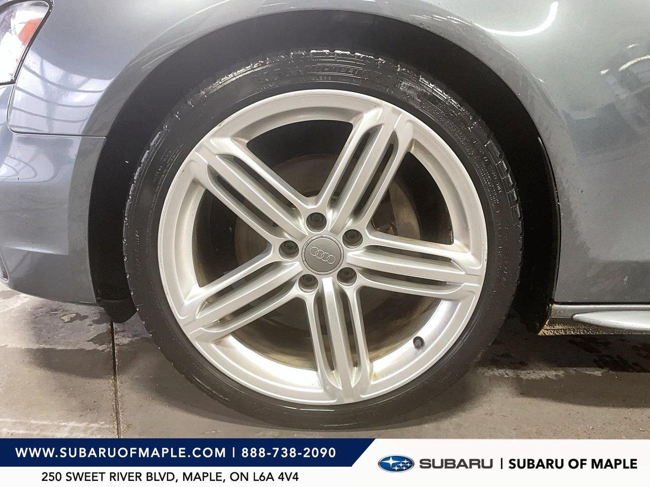 2016 Audi A4 4dr Sdn Man Progressiv plus quattro Photo