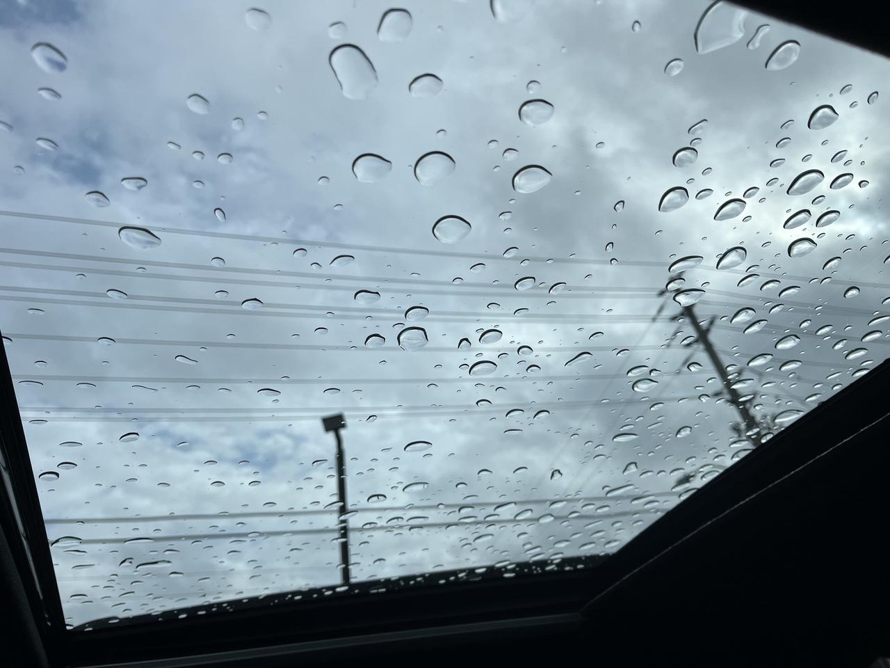 2026 Subaru Forester LIMITED AWD Photo