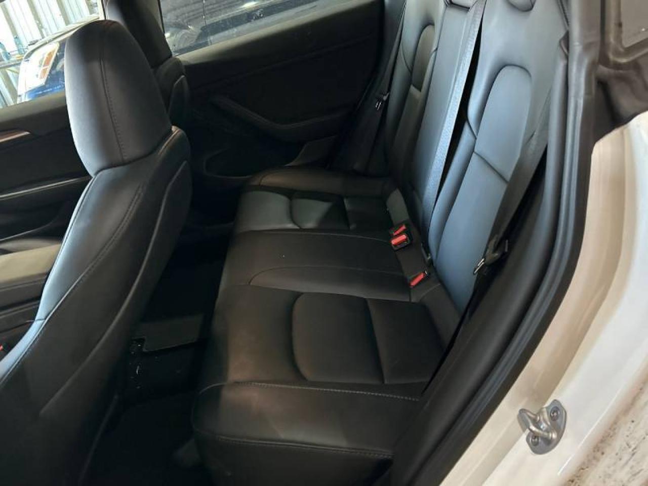 2023 Tesla Model 3 No Accident l StandardRange l RWD l Tesla Warranty Photo