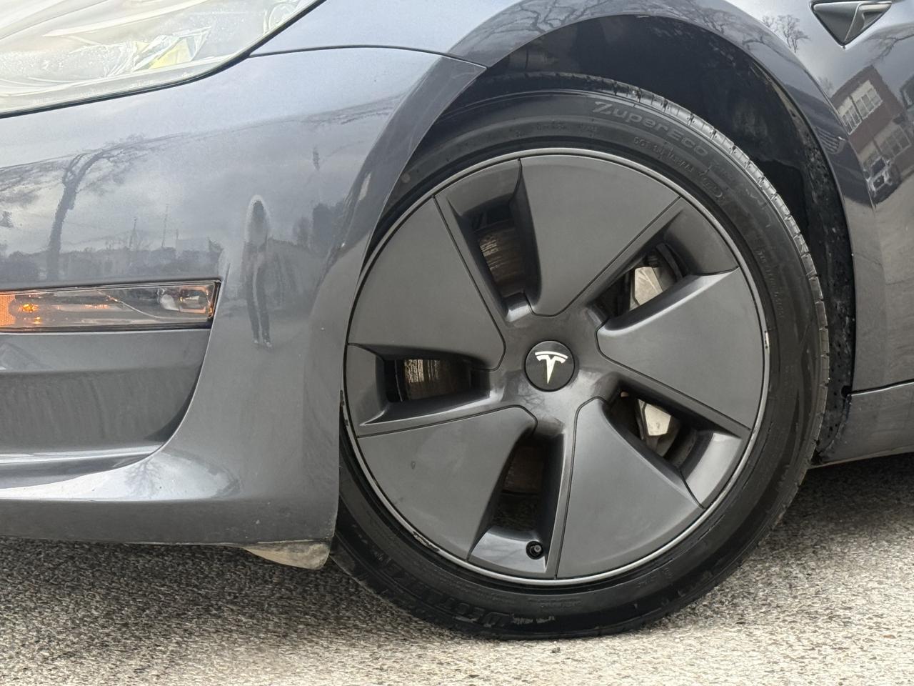 2023 Tesla Model 3 Model 3 l RWD l Autopilot l Tesla Warranty l Photo