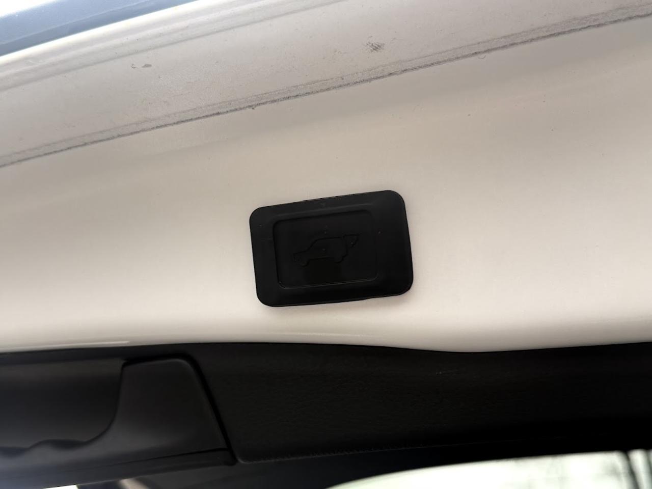 2019 Toyota RAV4 No Accident l XLE Premium l AWD l One Owner l 2.5L Photo