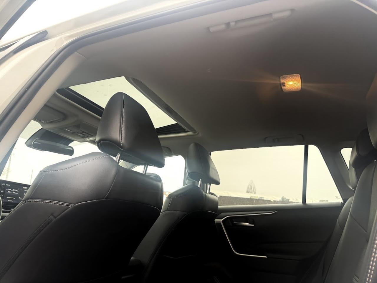 2019 Toyota RAV4 No Accident l XLE Premium l AWD l One Owner l 2.5L Photo