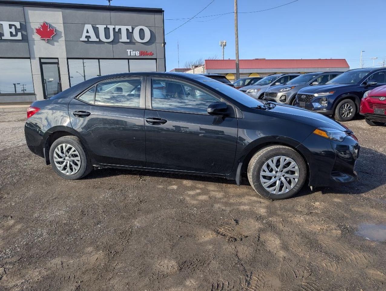 2019 Toyota Corolla LE  CAMERA   HTD SEATS Photo4