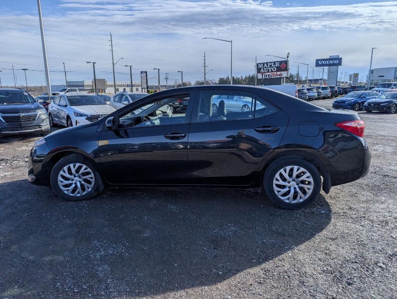 2019 Toyota Corolla LE  CAMERA   HTD SEATS Photo