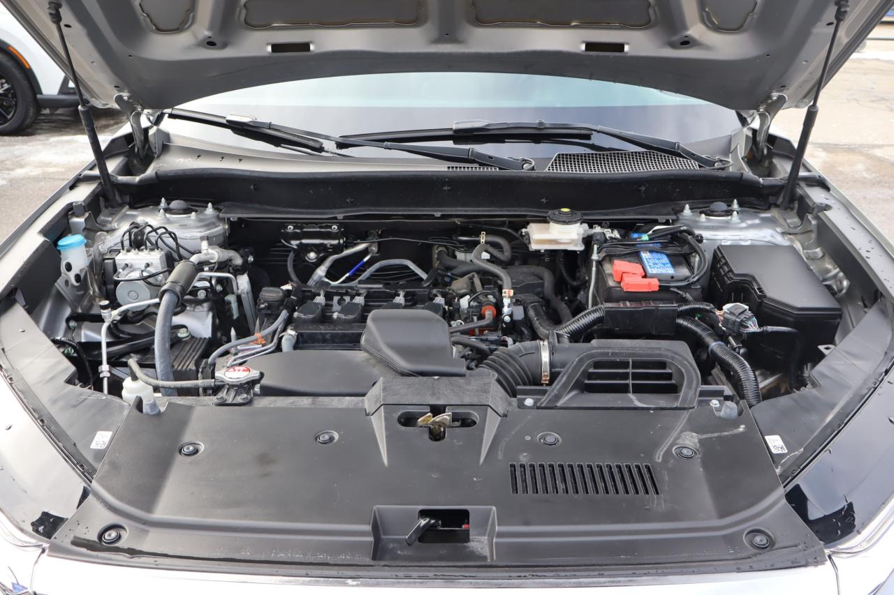 2024 Honda CR-V LX-B 4dr Front-Wheel Drive Photo