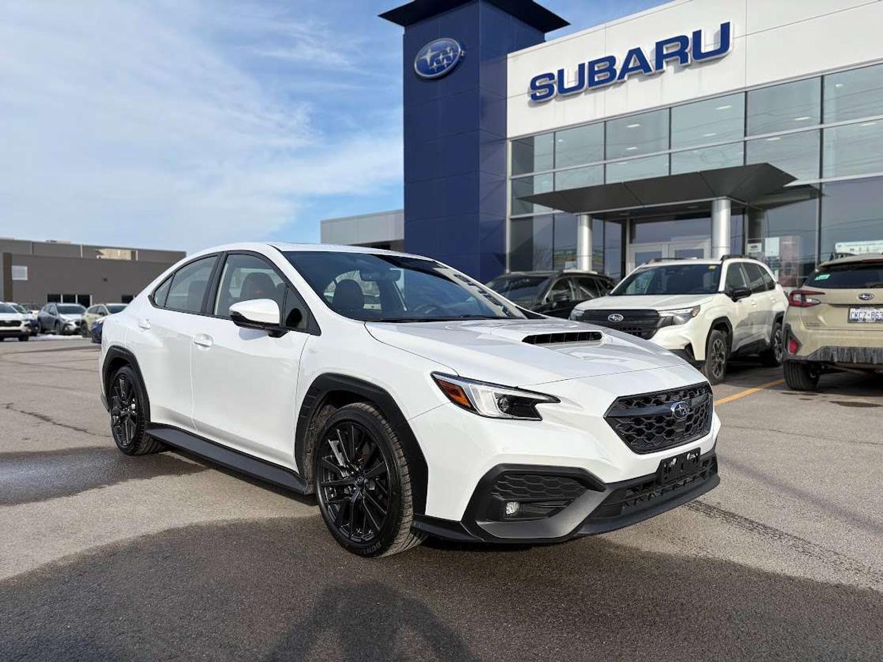 2023 Subaru WRX Sport-tech Photo