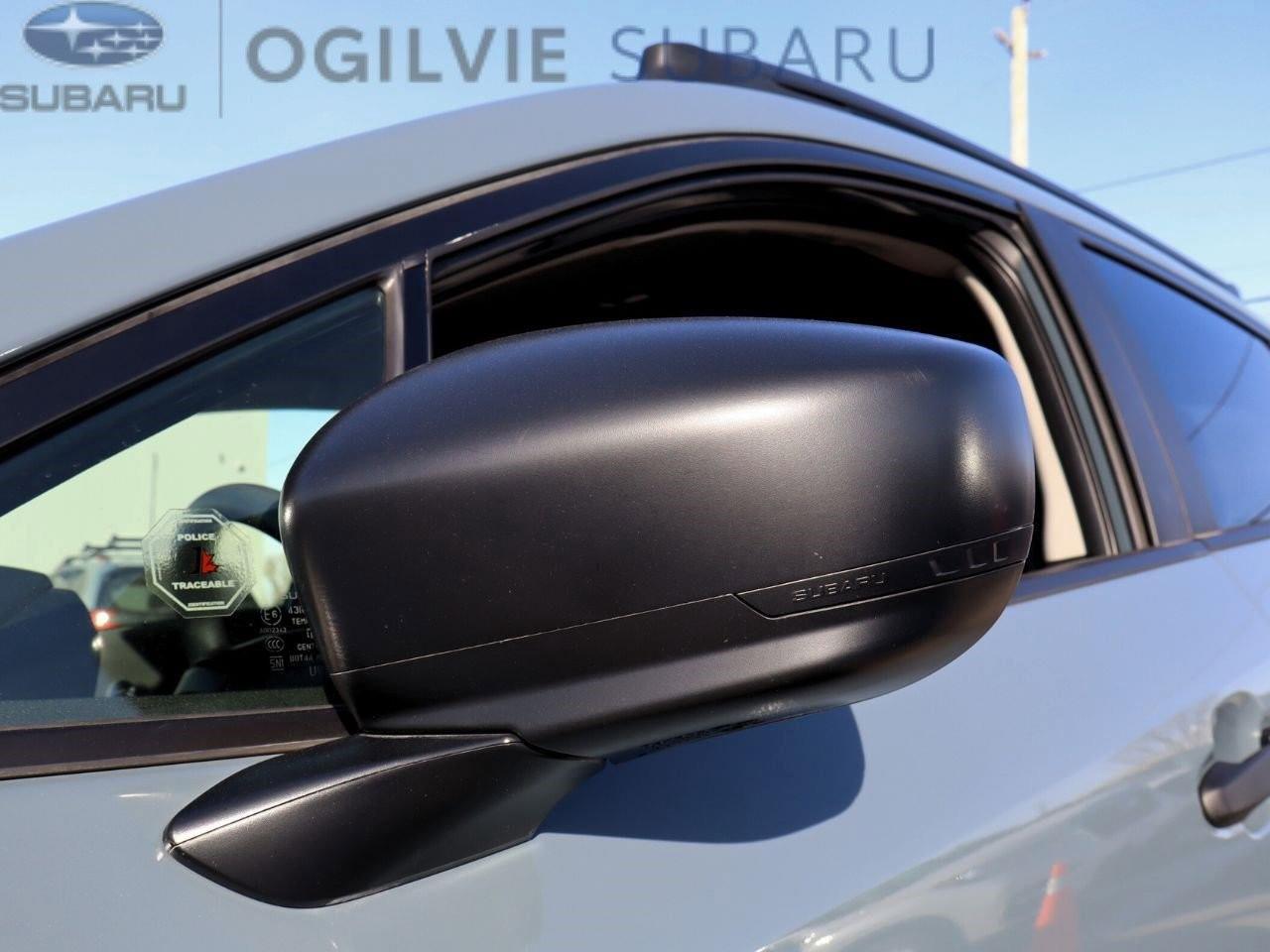 2024 Subaru Crosstrek Convenience 4dr All-Wheel Drive Photo