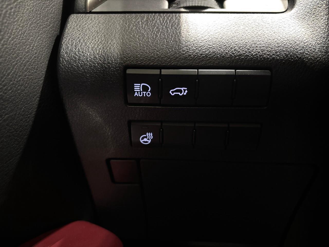 2017 Lexus RX 350  Photo