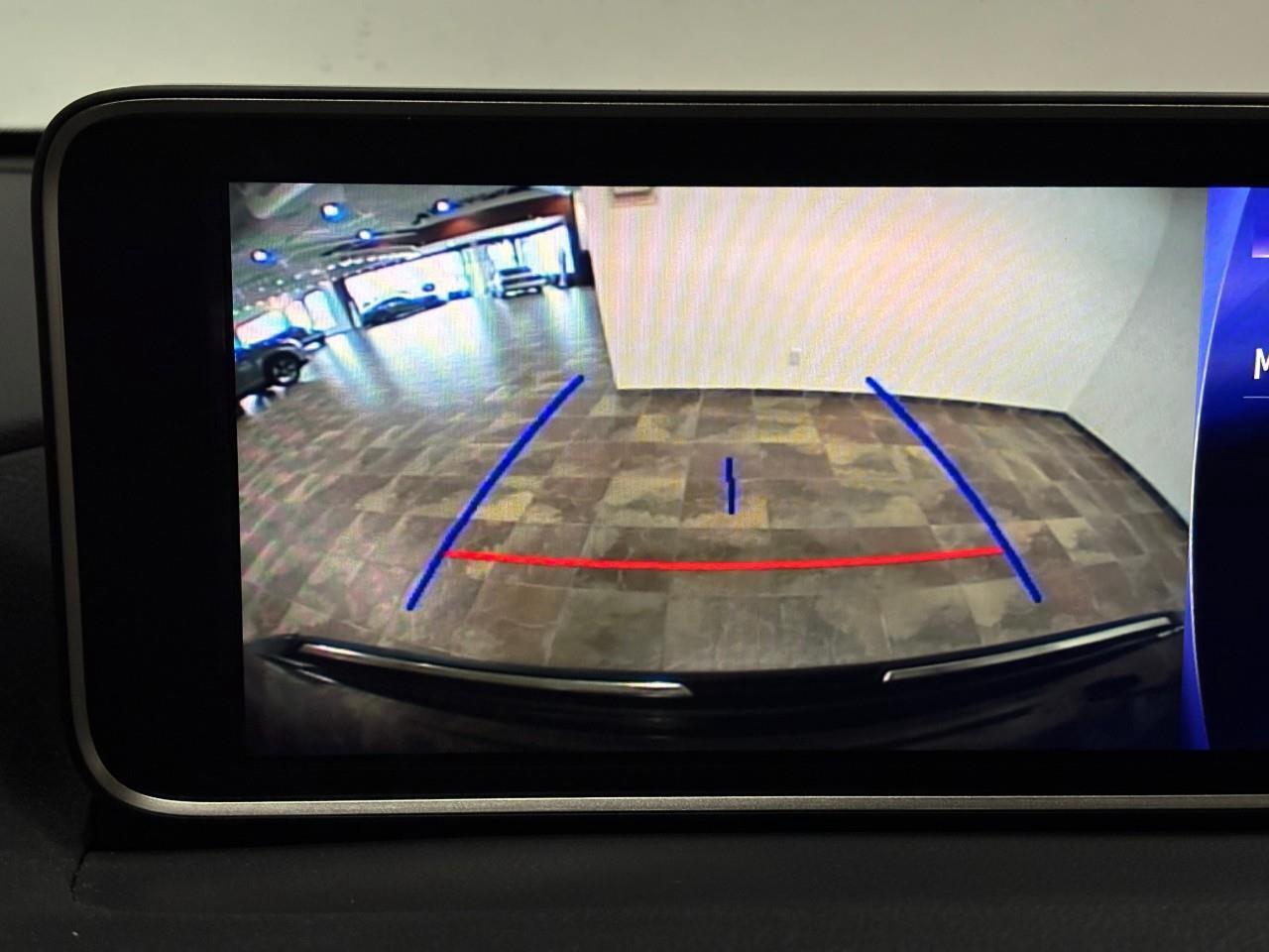 2017 Lexus RX 350  Photo