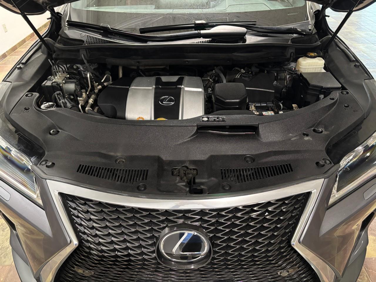 2017 Lexus RX 350  Photo