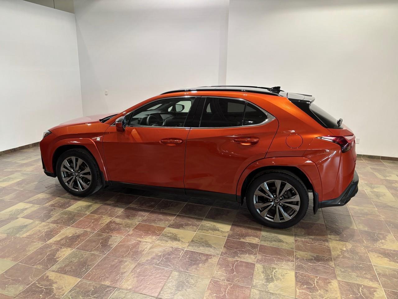 2024 Lexus UX 250H  Photo4