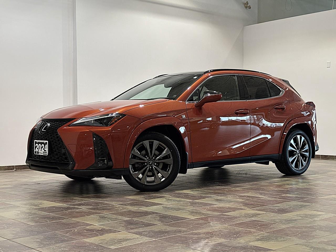 2024 Lexus UX 250H  Photo
