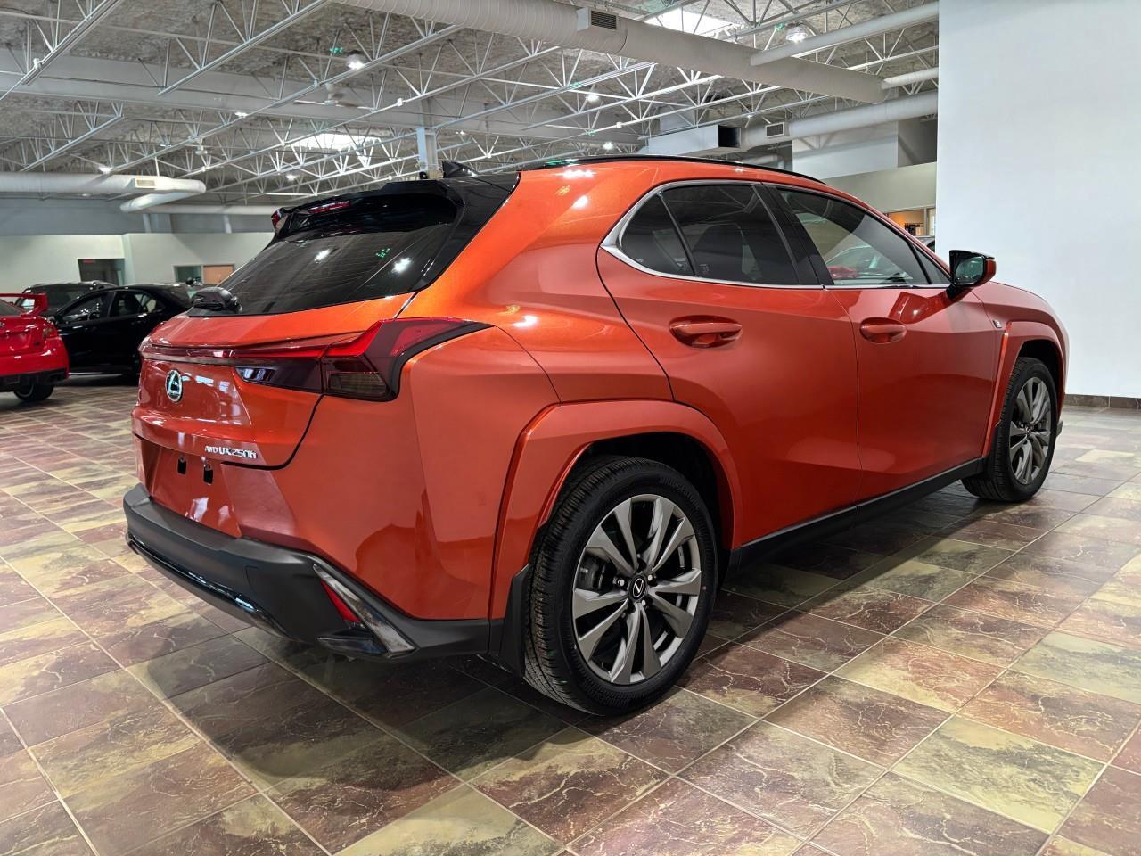2024 Lexus UX 250H  Photo