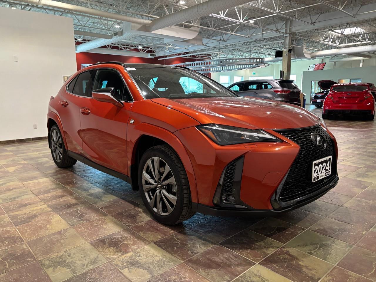 2024 Lexus UX 250H  Photo