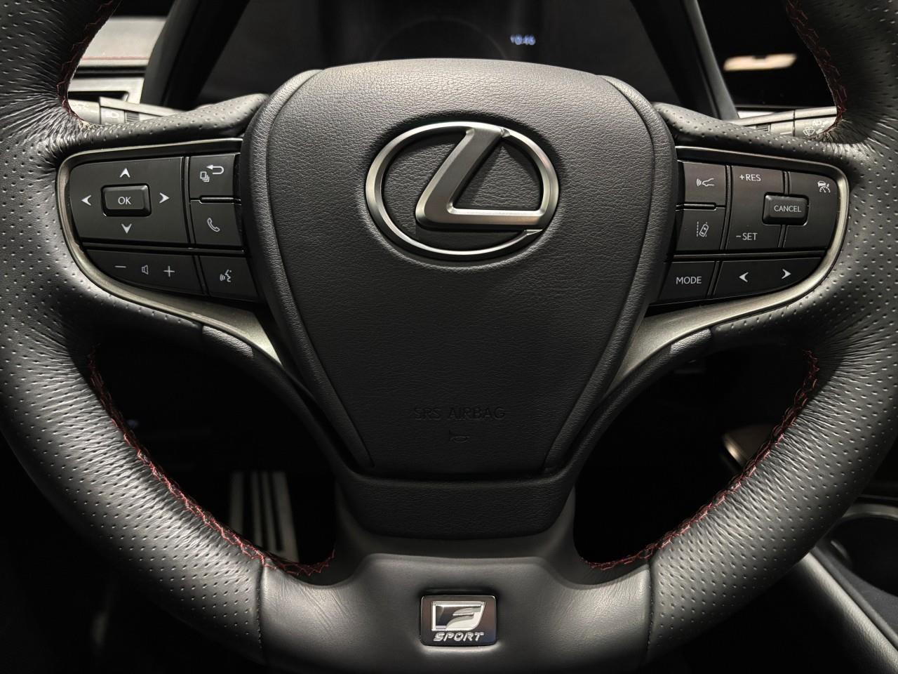 2024 Lexus UX 250H  Photo