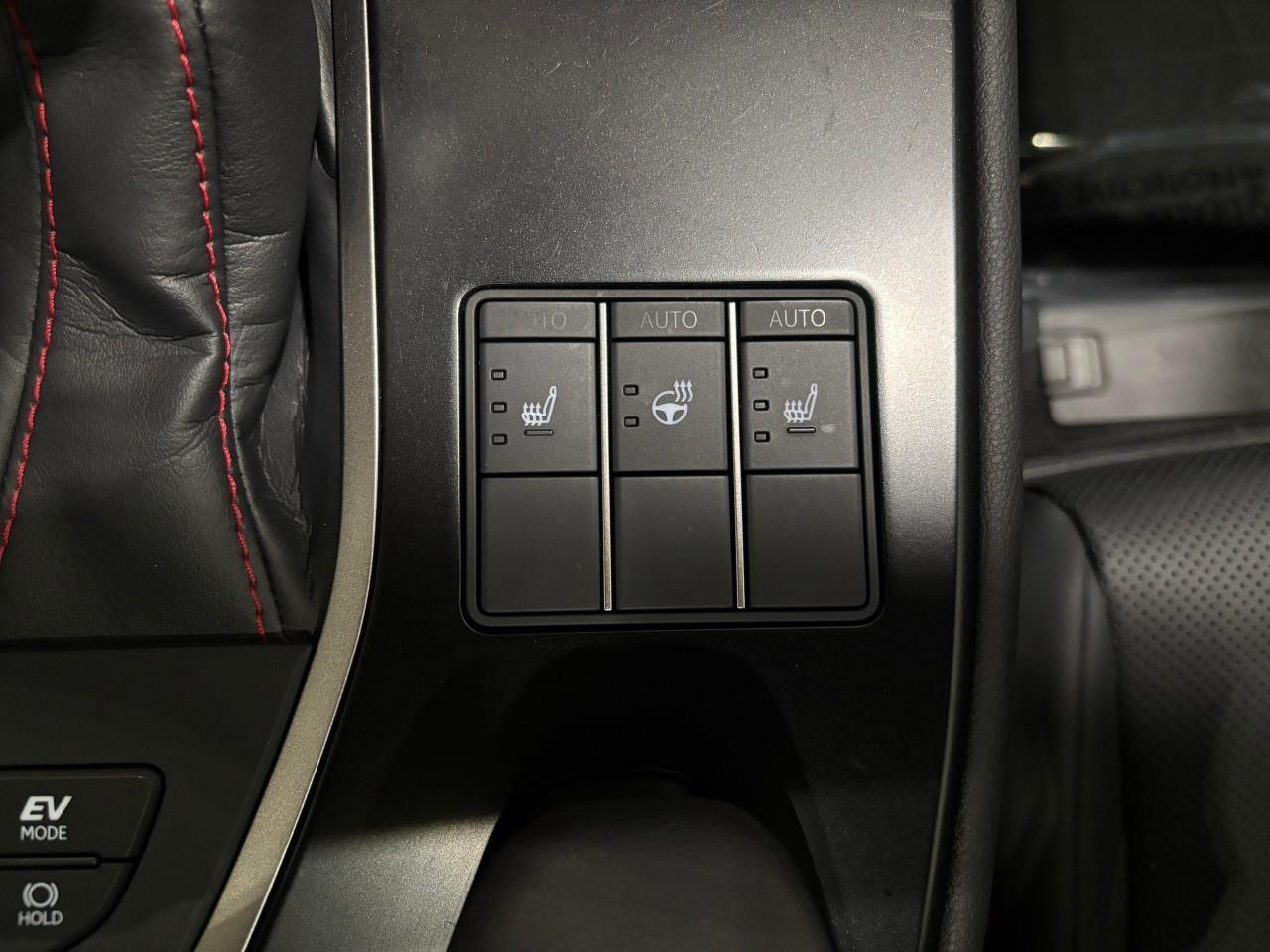 2024 Lexus UX 250H  Photo