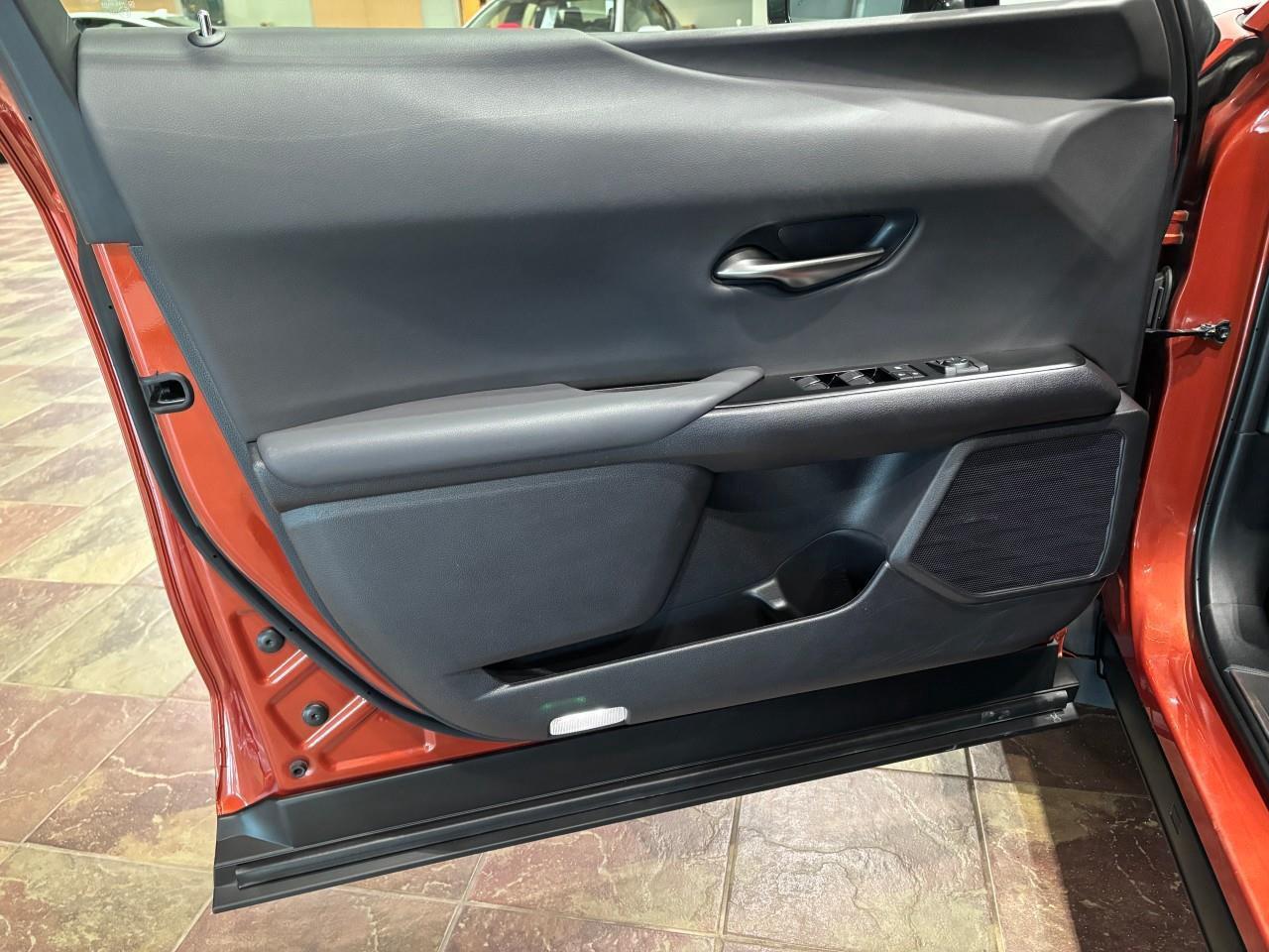 2024 Lexus UX 250H  Photo