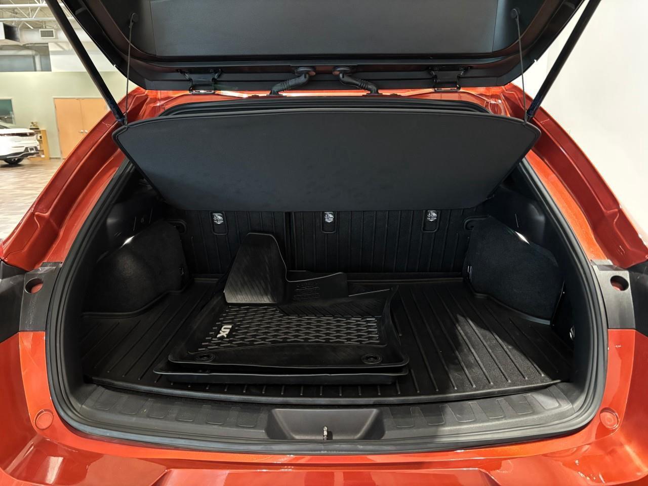 2024 Lexus UX 250H  Photo