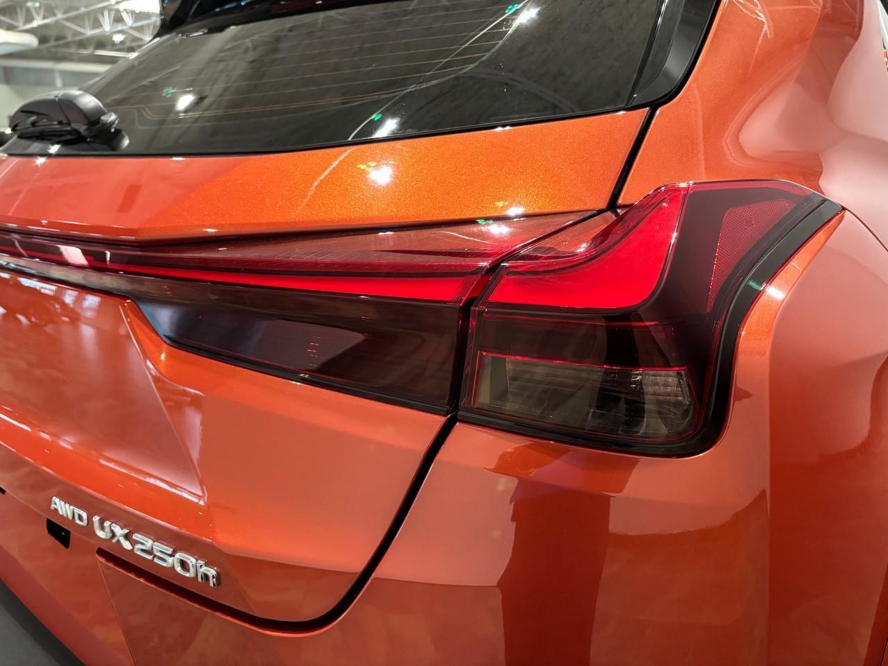 2024 Lexus UX 250H  Photo