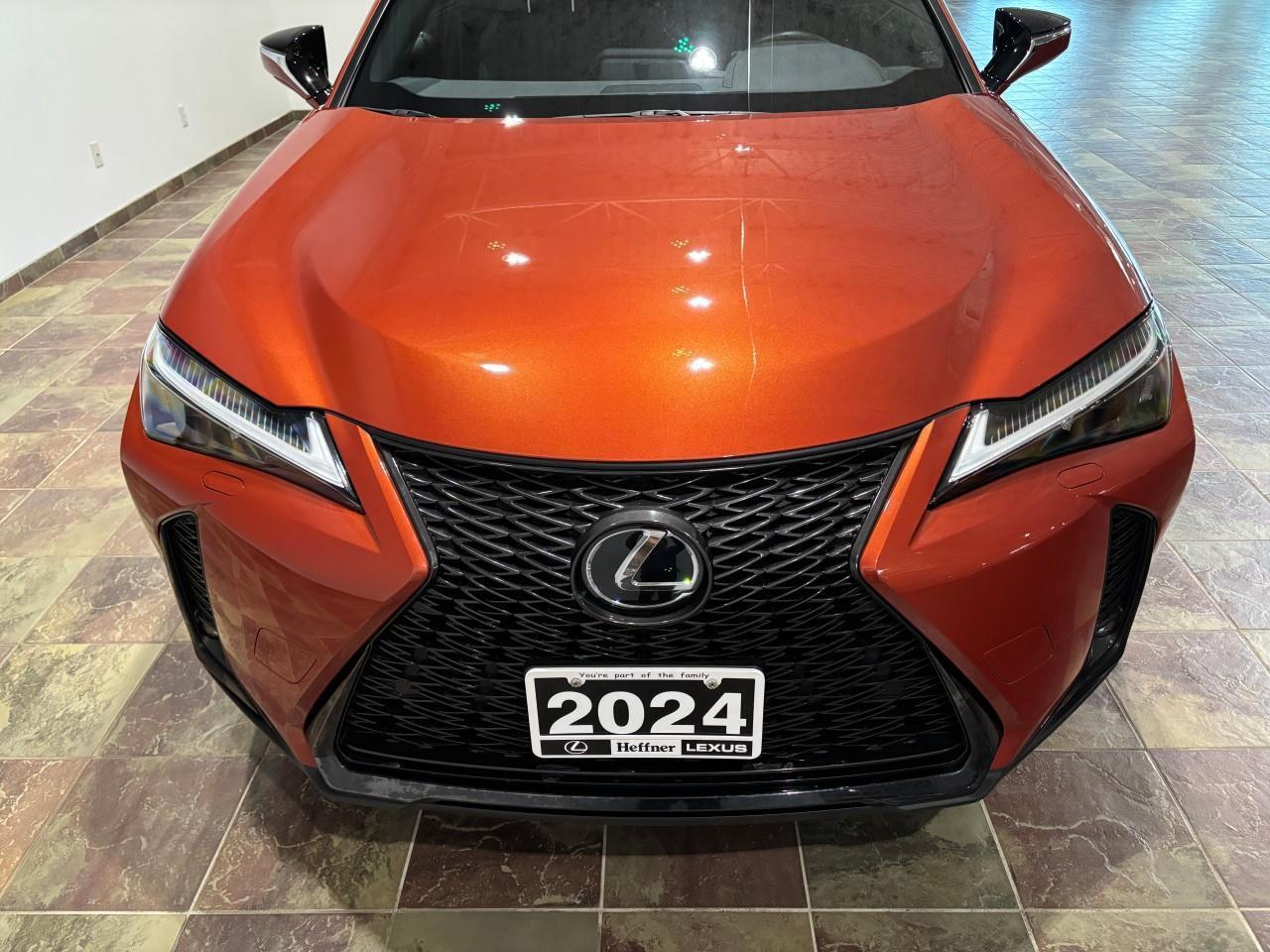 2024 Lexus UX 250H  Photo