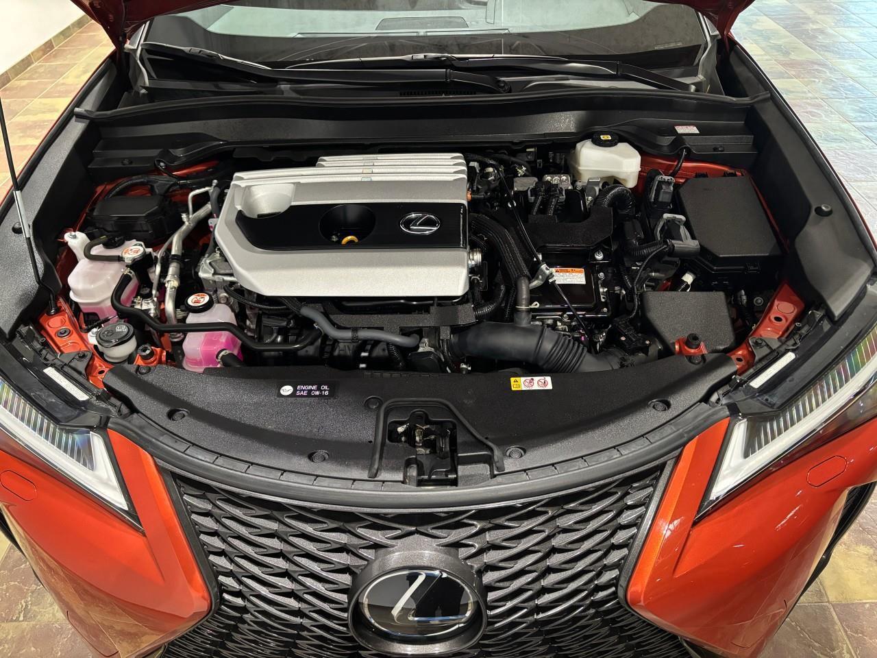 2024 Lexus UX 250H  Photo