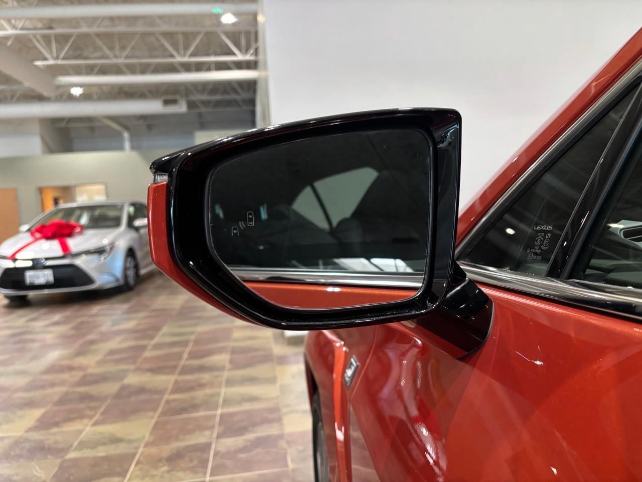 2024 Lexus UX 250H  Photo