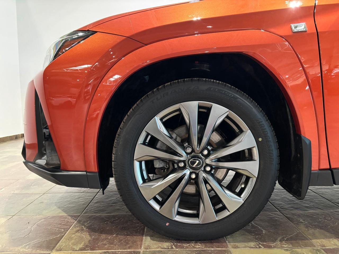 2024 Lexus UX 250H  Photo