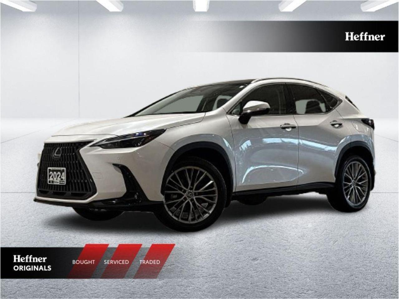 2024 Lexus NX 350h  Photo0