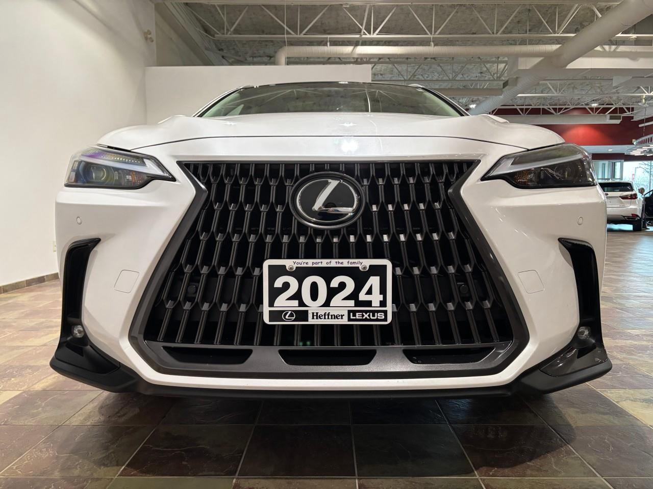 2024 Lexus NX 350h  Photo