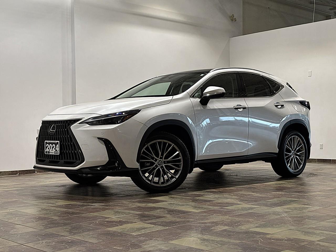 2024 Lexus NX 350h  Photo